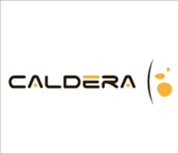 Caldera Large Print Driver