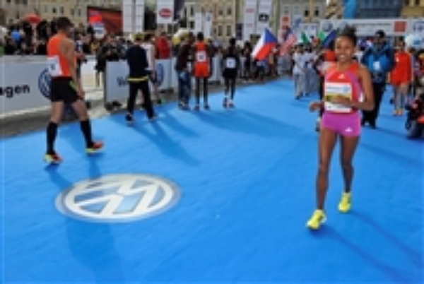 Jessup SportWalk 54"x100' Roll