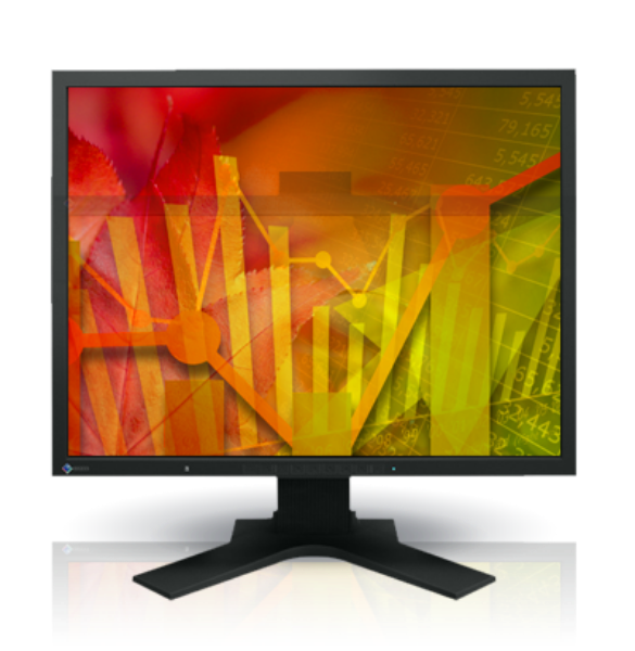 Eizo FlexScan S2133 21.3" Height Adjustable Monitor with IPS Panel 