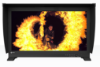 Eizo ColorEdge Prominence CG3146 31.1" HDR Reference Monitor