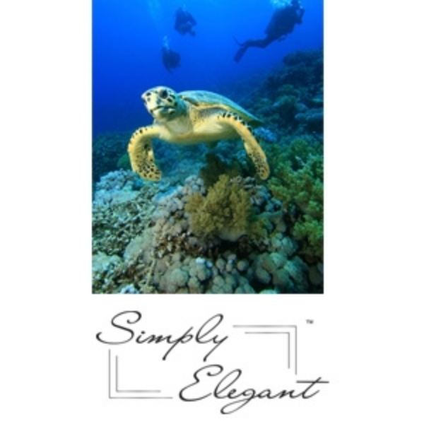 Simply Elegant Matte Canvas 44"x40' Roll