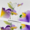 Canson Infinity Rag Photographique II 210gsm Matte 17"x22" - 25 Sheets