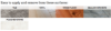 Nekoosa 4mil Double-Polished Clear Walk-On Floor Graphic Overlaminate with Permanent Adhesive 54"x150' Roll