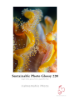 Hahnemühle Sustainable Photo Glossy 220gsm 17"x22" 25 Sheets